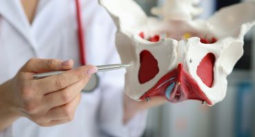 צניחת אברי אגן