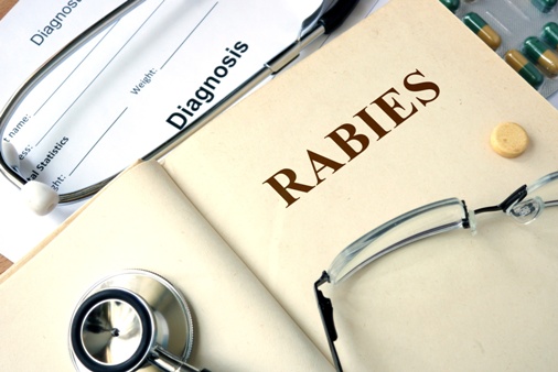 כלבת (Rabies)