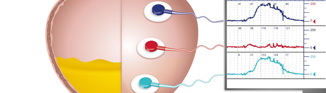 אורודינמיקה