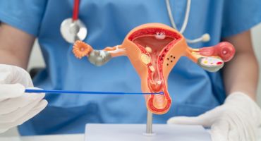 מרפאת פות ועריה